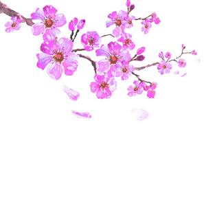 手绘樱花树摄影图 手绘樱花树图片大全 手绘樱花树照片 摄图新视界