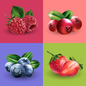 覆盆子, 蔓越莓, 蓝莓和草莓照片