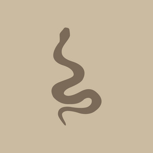 蛇矢量图标简单插图