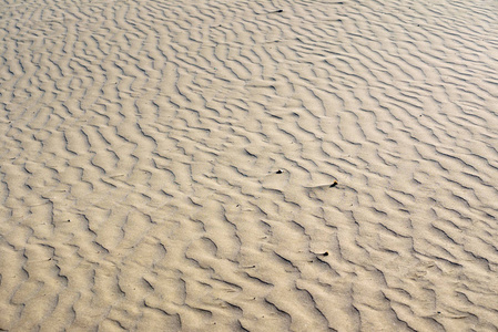 沙子背景, 质地。自然