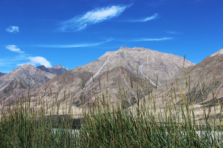 吉尔吉斯坦天山地区