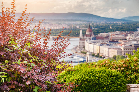 从盖勒特山的春天看布达佩斯议会和多瑙河河