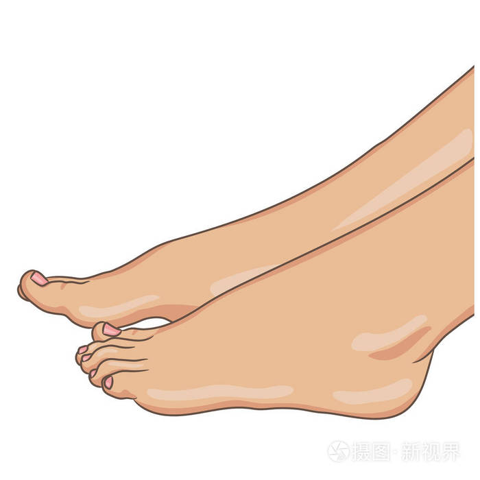 女性双脚赤脚 侧面观看 矢量插图 手绘卡通风格在白色隔离插画 正版商用图片05rsdt 摄图新视界 女性双脚赤脚 侧面观看 矢量插图 手绘卡通风格在白色隔离插画 正版商用图片05rsdt 摄图新视界