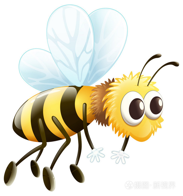 一只蜜蜂插画-正版商用图片05rud4-摄图新视界
