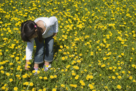 女孩摘花