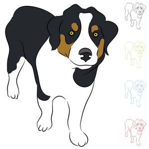 边境牧羊犬插画-边境牧羊犬手绘-边境牧羊犬卡通图-摄图新视界