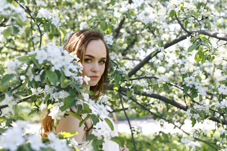 女孩在黄色春天礼服反对绽放苹果树的背景