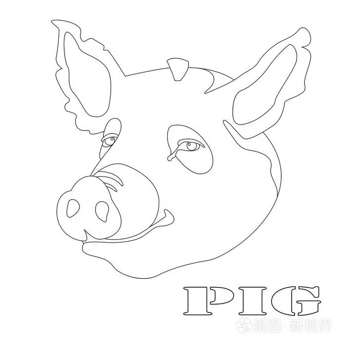 猪头着色矢量图解线画前