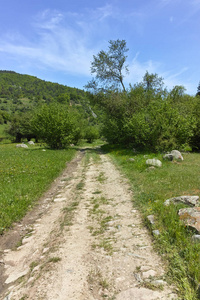 保加利亚 Pazardzhik 地区 Rhodopes 山 Fotinovo 村附近的绿色丘陵景观