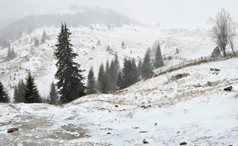 暴风雪在山图片