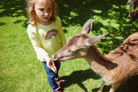 快乐可爱的小女孩喂养鹿在自然公园