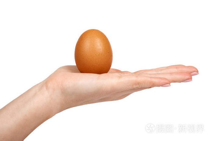 褐色鸡肉手里的有机鸡蛋。在白色背景下被隔离。营养和蛋白质储备