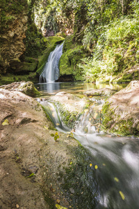 小瀑布掉进水水池, 与绿色青苔的树和岩石背景