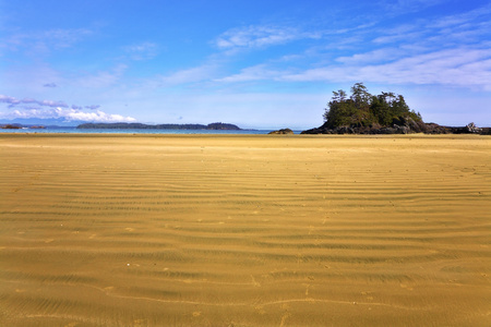 海洋海滩期间流出