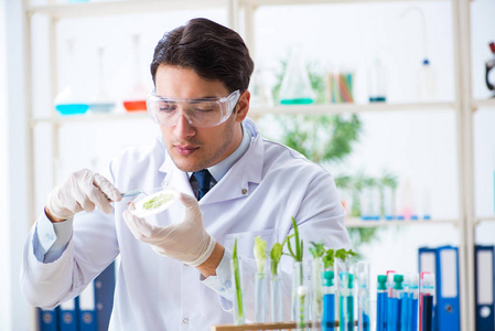 在植物实验室工作的男性生物化学家