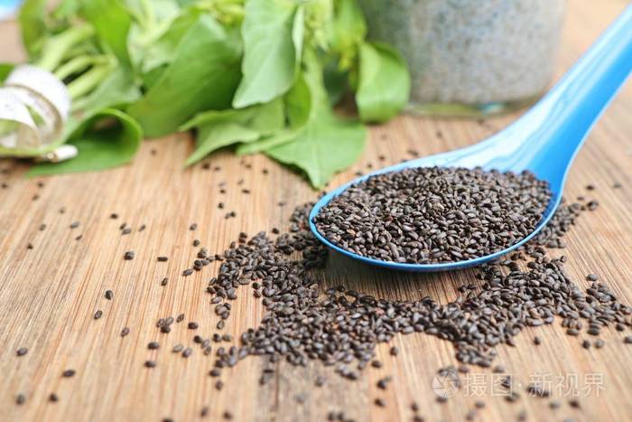 新鲜罗勒与种子