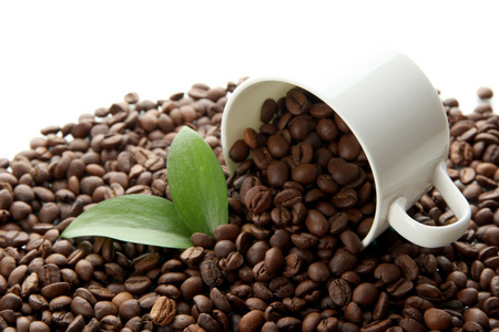 咖啡豆与叶上白色隔离
