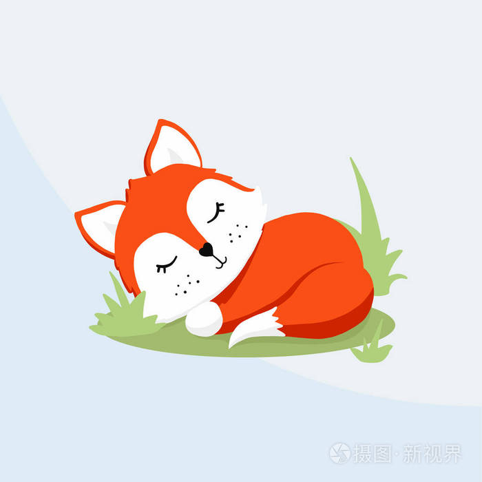 手绘矢量插图睡红狐被隔离在白色背景上