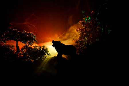 晚上在森林的大熊恐怖的看法。愤怒的熊背后的火多云的天空。雾林暗背景下的熊剪影