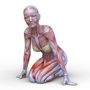 女性 figure3d Cg 渲染的女性放置图