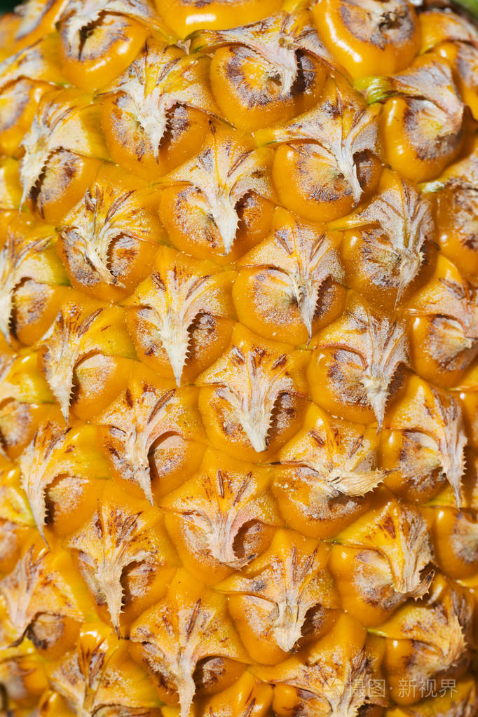 鲜黄色的菠萝热带水果夏季茶点思慕雪摇饮料在户外