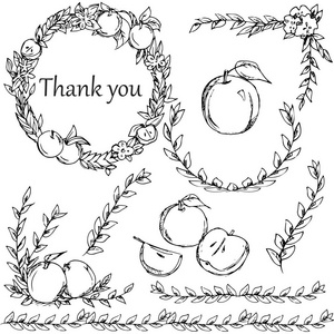 苹果树枝, 花, 苹果。装饰元素。手绘矢量图。复古风格
