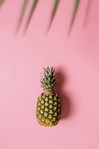 成熟的菠萝在柔和的粉红色垂直背景被隔绝。棕榈叶边框框架。简约风格时尚热带概念