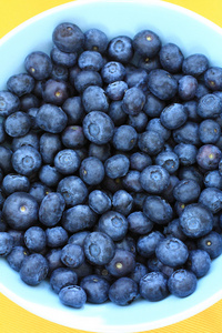 成熟的蓝莓蓝碗里