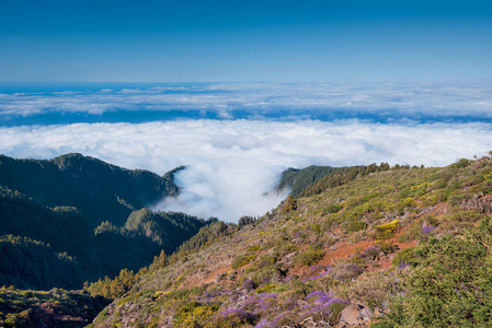 从西班牙加那利群岛拉帕尔马岛顶部看云海景观