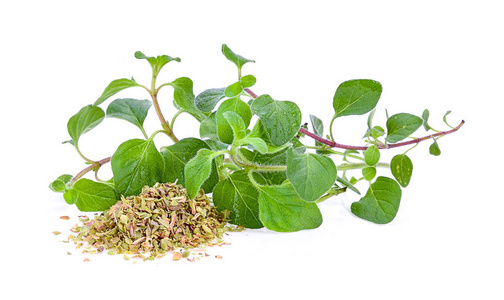 和牛至撒上香草煎蛋卷辣椒片撒上香草煎蛋卷配细香葱和牛至香草精油