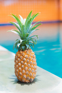 新鲜的黄色菠萝热带水果夏天茶点在游泳池附近