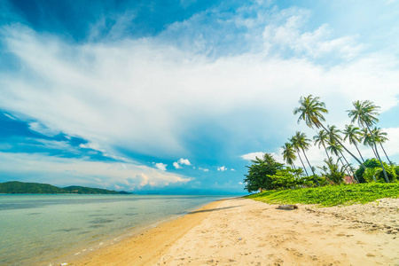 美丽的热带海滩和海与椰子棕榈树在天堂海岛