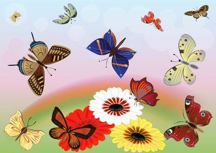 抽象草甸与色彩艳丽的蝴蝶矢量图