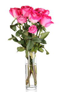 美丽的粉红色玫瑰在花瓶上白色隔离