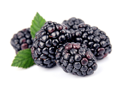 甜汁黑莓的水果