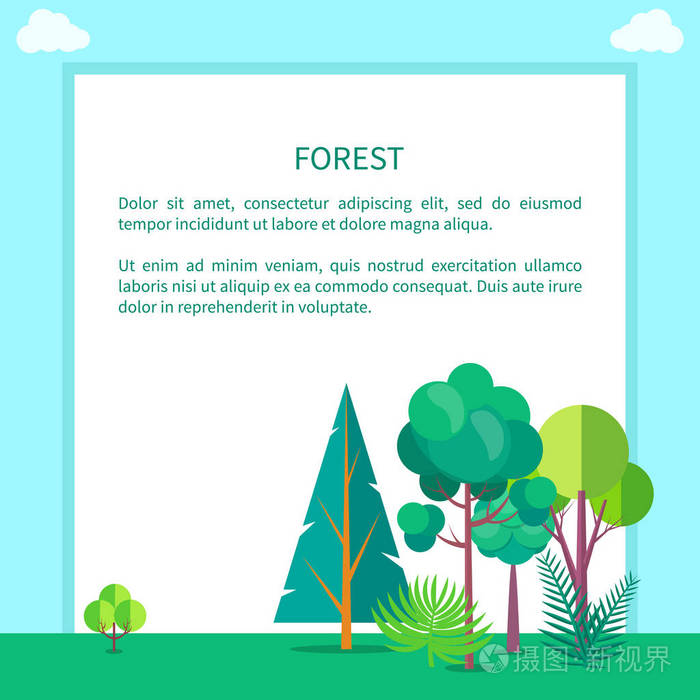 森林向量网横幅与树和灌木