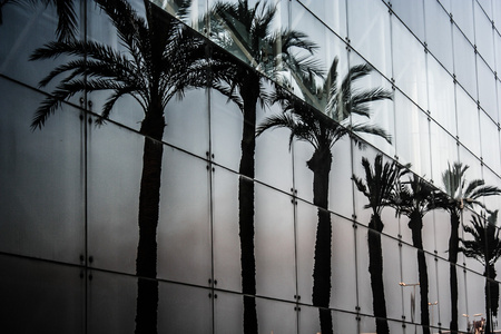 蓝色玻璃透明墙的现代大厦房子照片