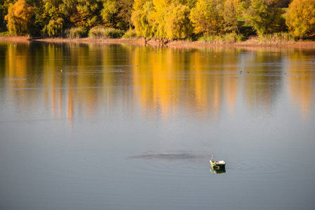 一个平静的秋日, 渔夫的小船在湖中央。树黄叶