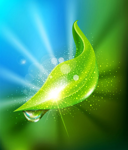 水上一滴水在阳光的照射下从草叶上流下来雨滴, 一滴露珠在一片草叶上