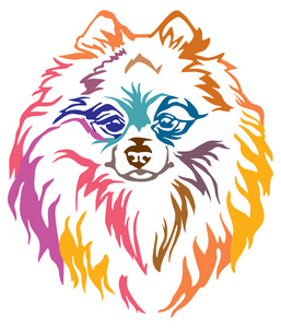 彩色装饰肖像的狗波美拉尼亚斯皮茨, 矢量插图不同的颜色隔离在白色背景。设计和纹身图像