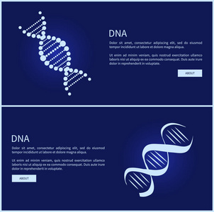 网页矢量图的 Dna 采集