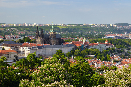 布拉格城市从 petrin 塔的看法