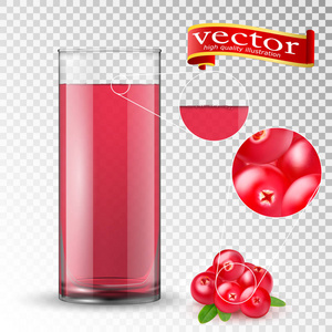 3d. 玻璃杯中多汁红莓和果汁的逼真矢量高细节
