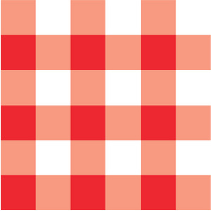 红色野餐表布格子红色野餐表布方格布照片