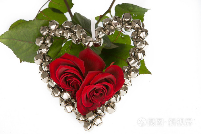 二朵玫瑰情人节的礼物在白色隔离