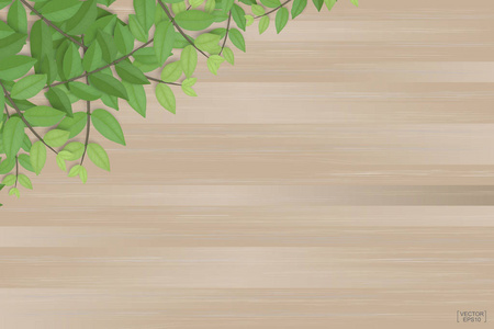树枝的绿叶在褐色的木材纹理背景。矢量插图