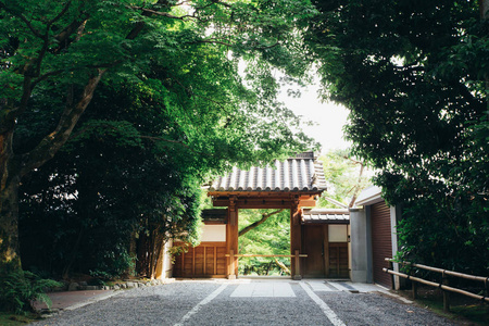 日式日本寺庙日本枫叶在京都复古影片样式