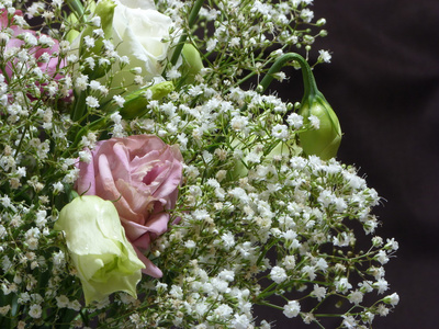 玫瑰和 gypsophillia 在花束