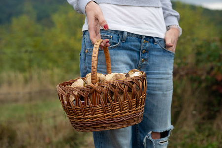 篮子的 ceps, 在一个女孩的手