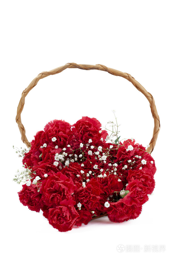 红牡丹一篮子